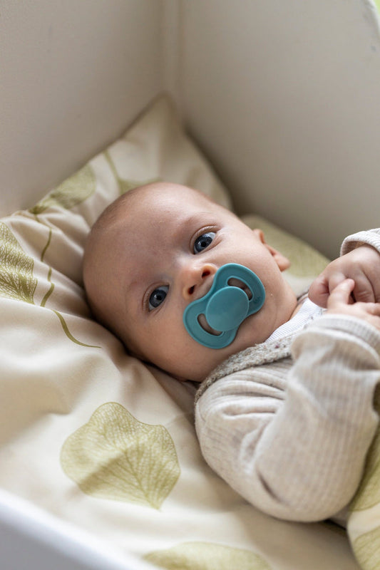Lullaby Planet Lullaby Planet Dental Silicone Soothers Size 2 - Ocean Teal & Dove Blue 2 pcs Comforter & teether