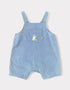 Baby Short Sleeve Tee & Dungaree Shorts Set