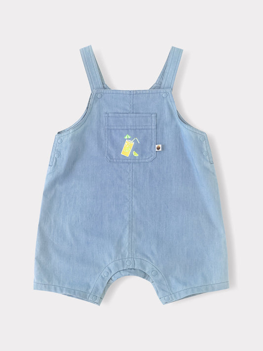 Baby Short Sleeve Tee & Dungaree Shorts Set