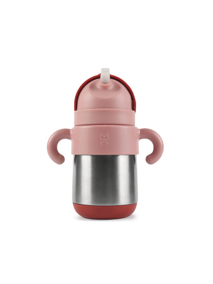 Matt Thermal Straw Bottle