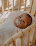 Soother with SX Pro physiological silicone Teat  6-18M - Wonderland Butterfly Liberty Green