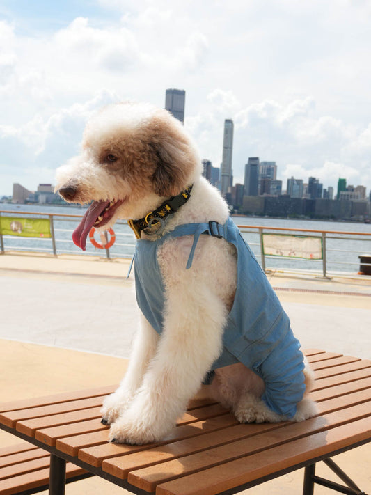 Dogs' Dungarees
