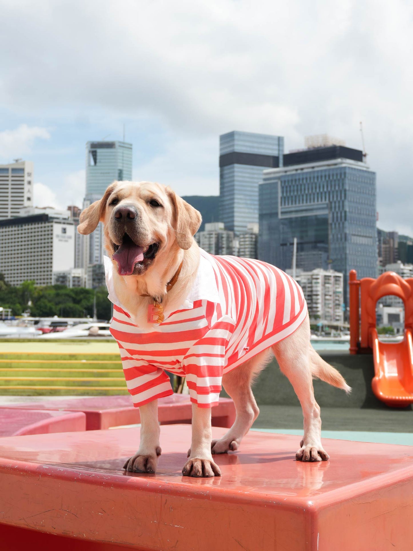 Dogs' Stripe Short-Sleeved Polo-Shirt