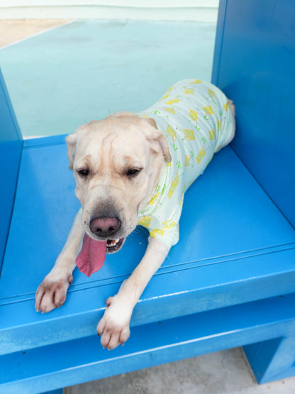 Dogs' Allover Print Short-Sleeved T-Shirt