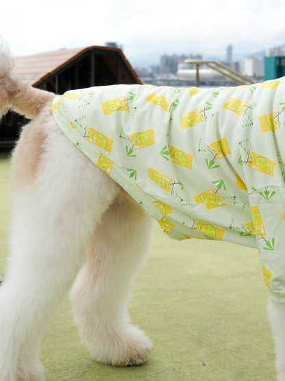 Dogs' Allover Print Short-Sleeved T-Shirt