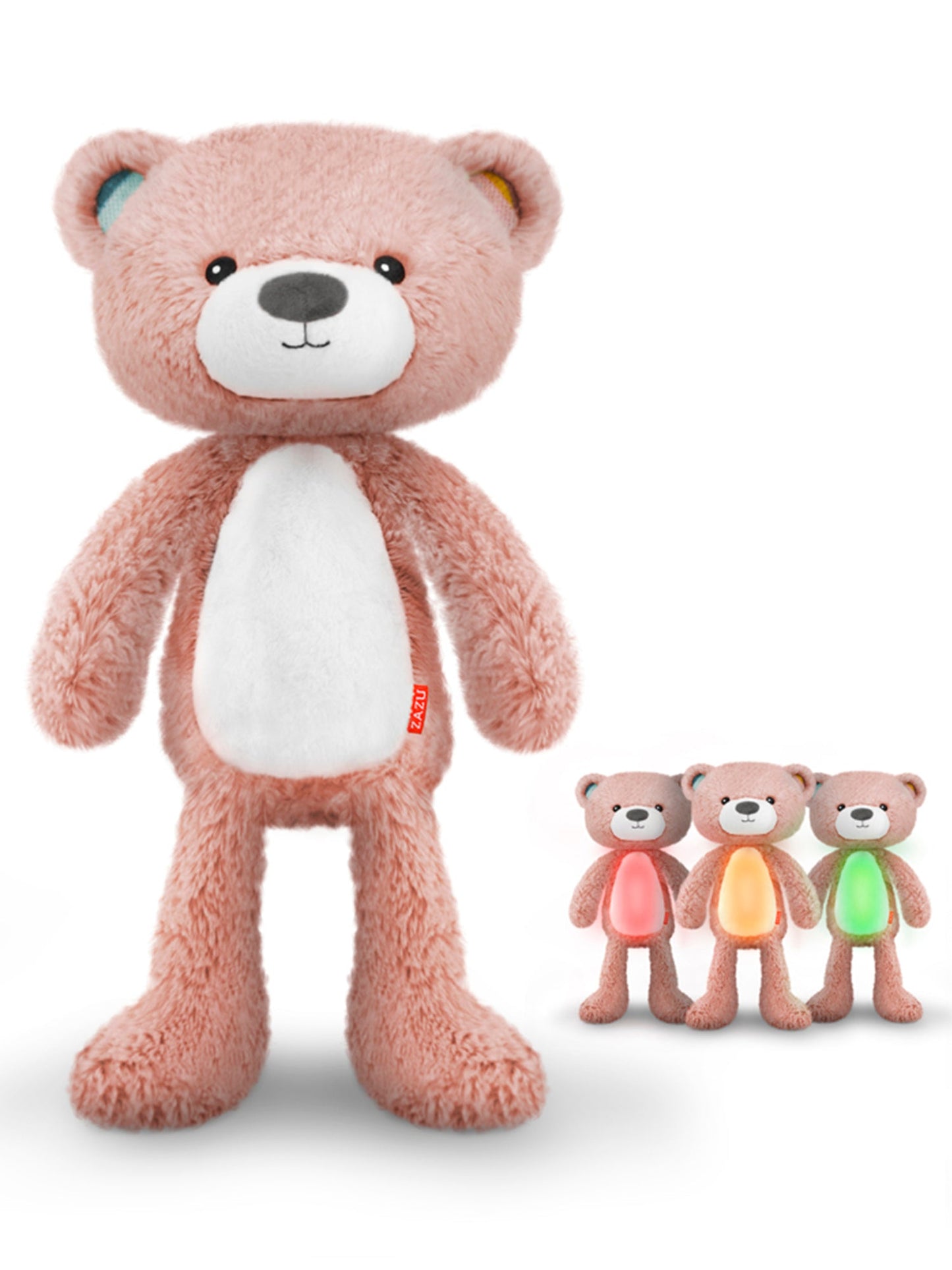 Brody The Bear