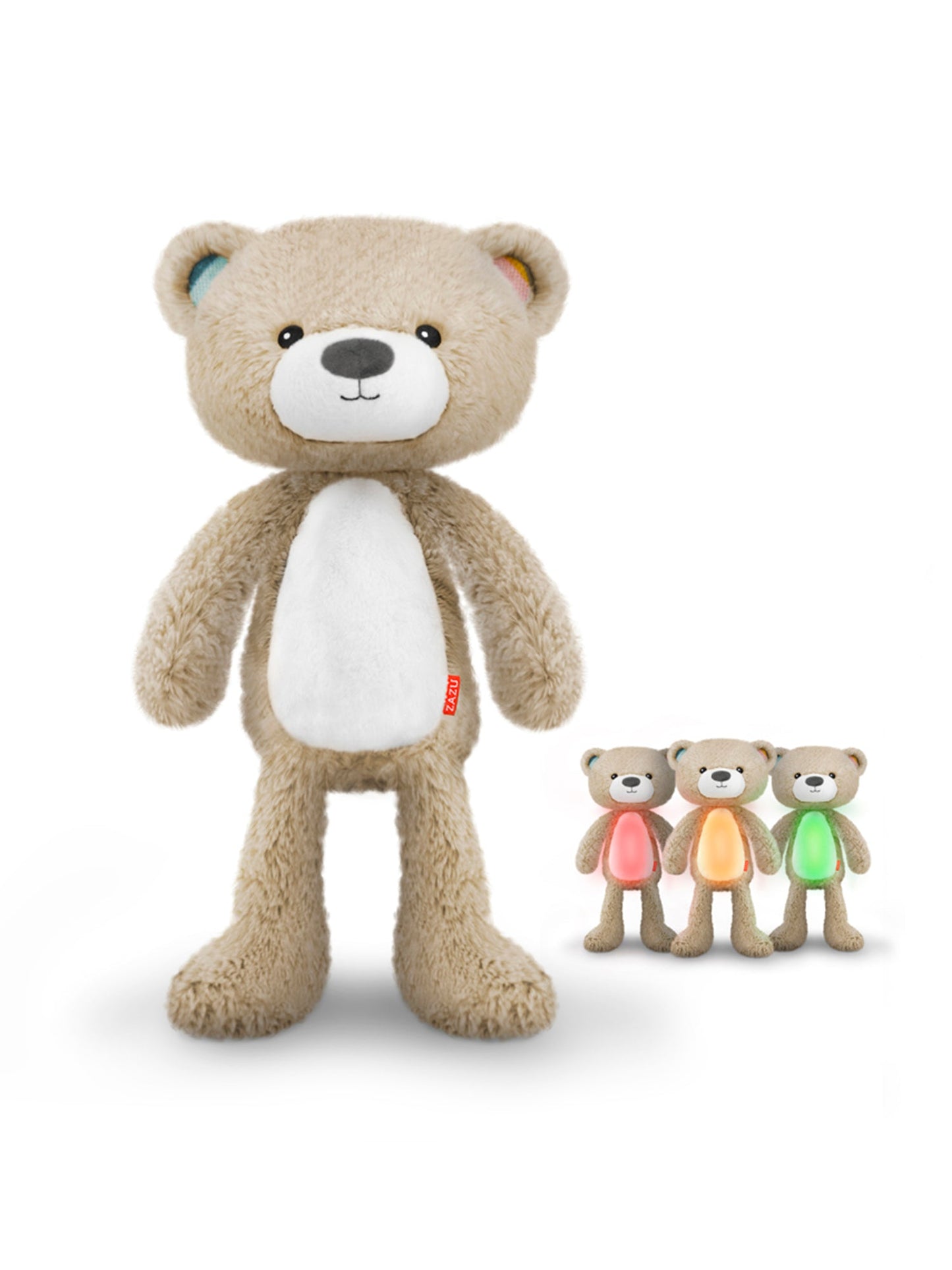 Brody The Bear