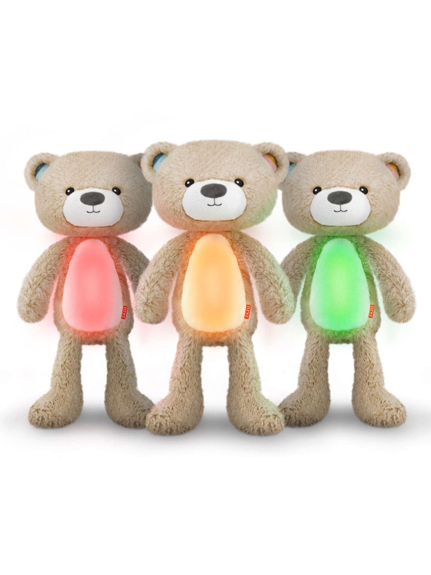 Brody The Bear