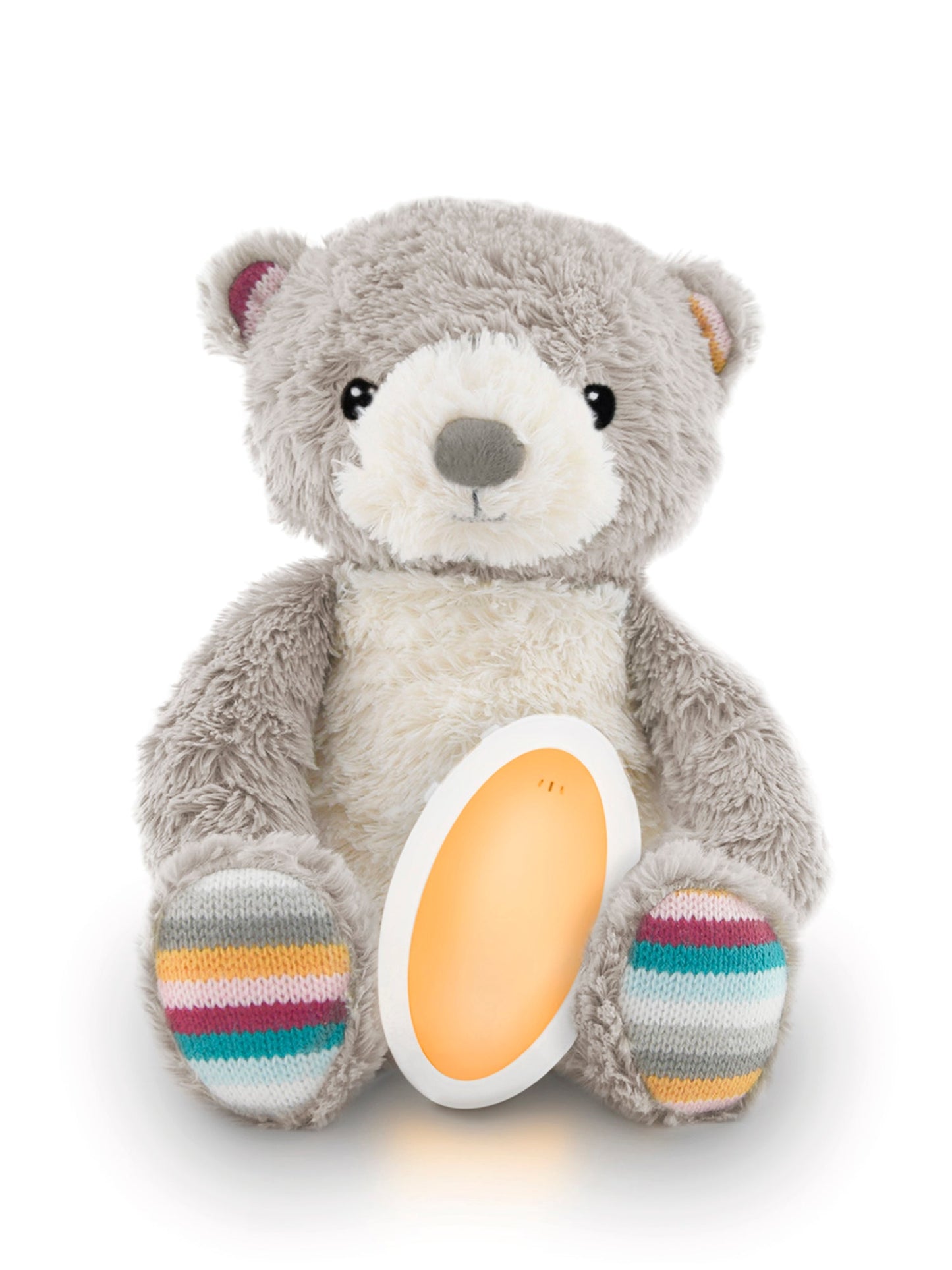 Bruno The Bear