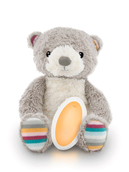 Bruno The Bear